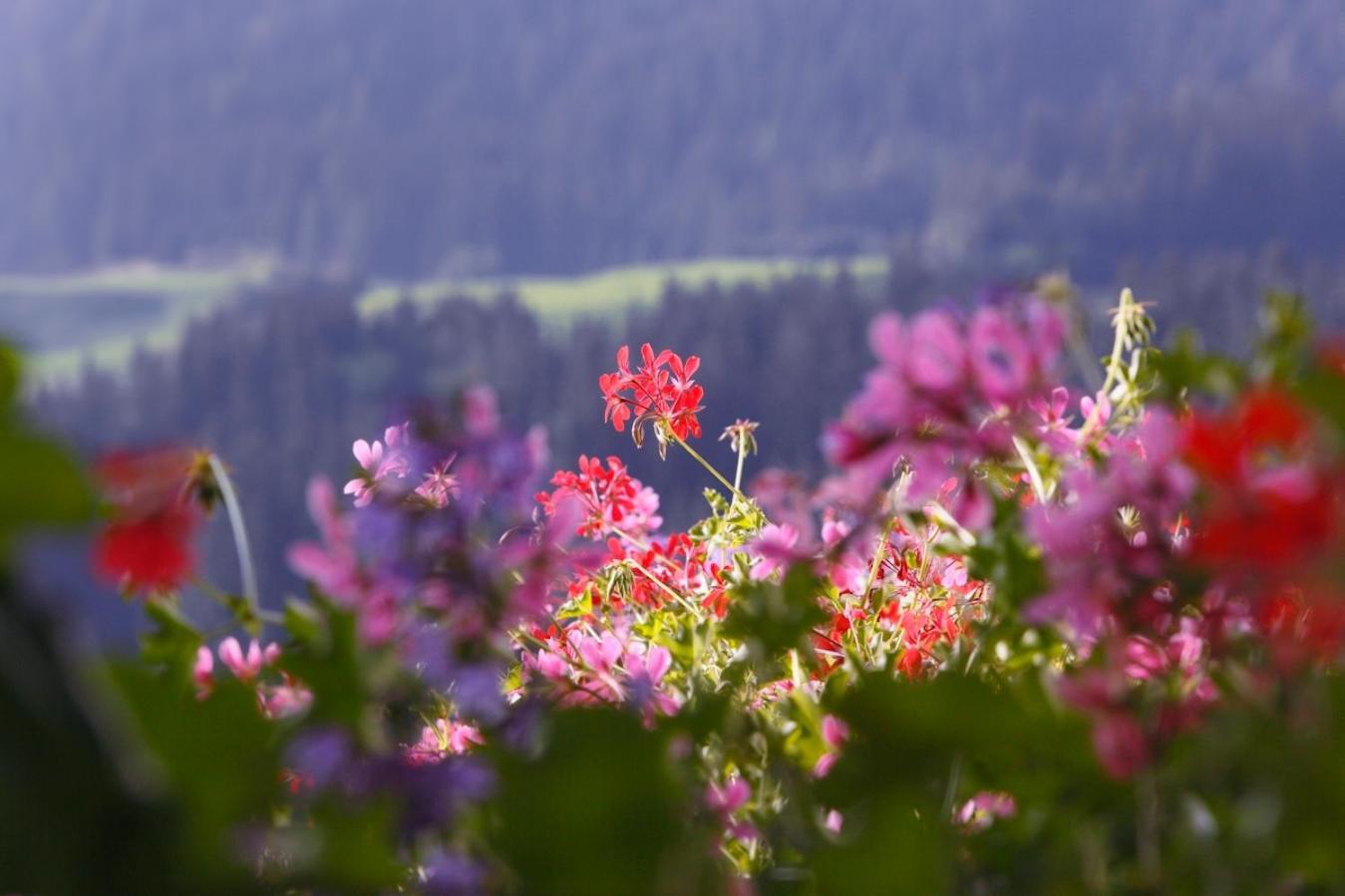 Nagelehof Villa Ridnaun Exteriör bild